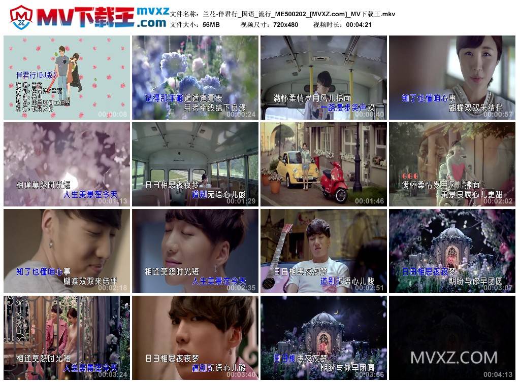 兰花-伴君行_国语_流行_ME500202